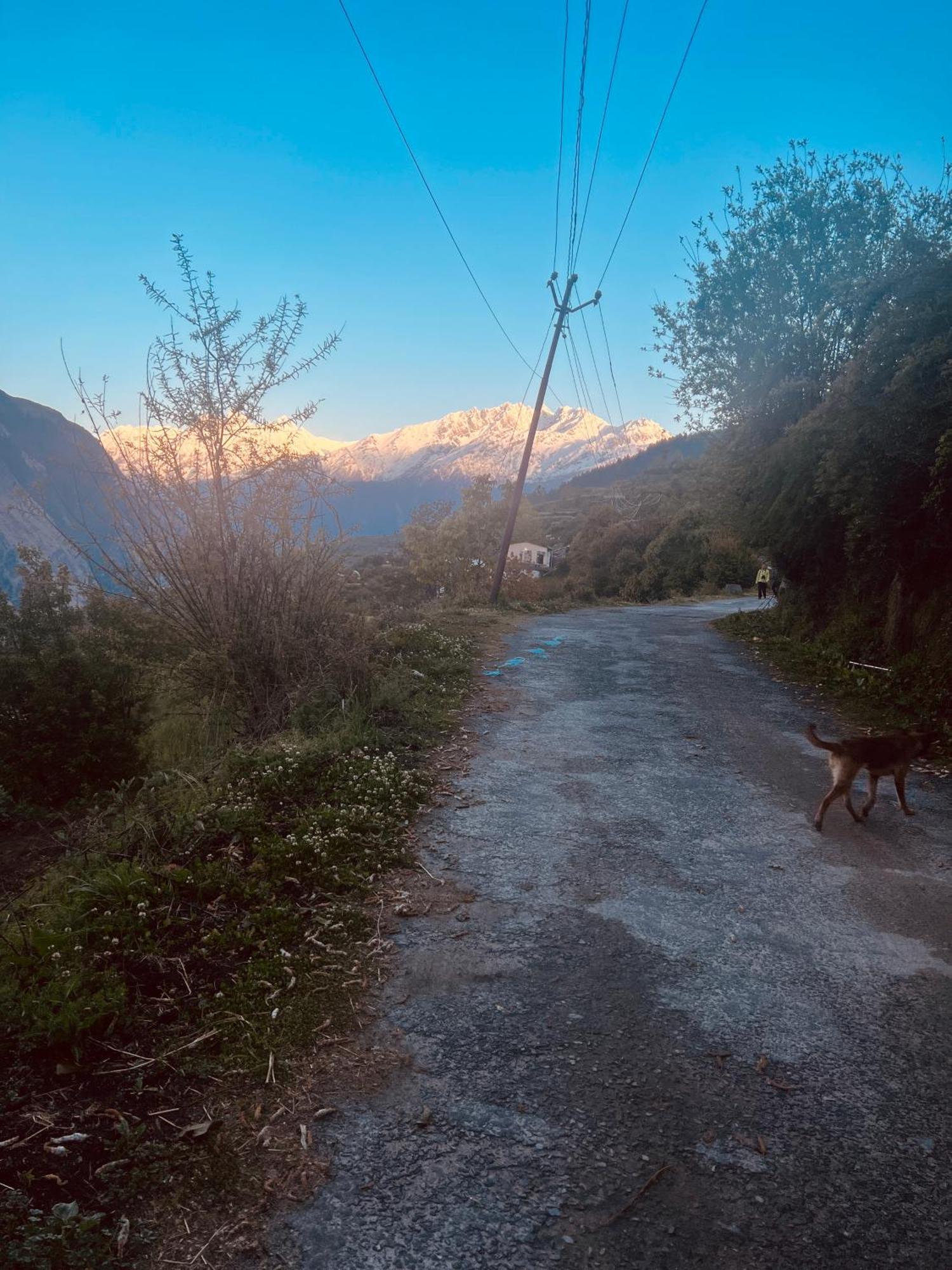 Faraway Cottages, Auli Joshimath Exterior photo