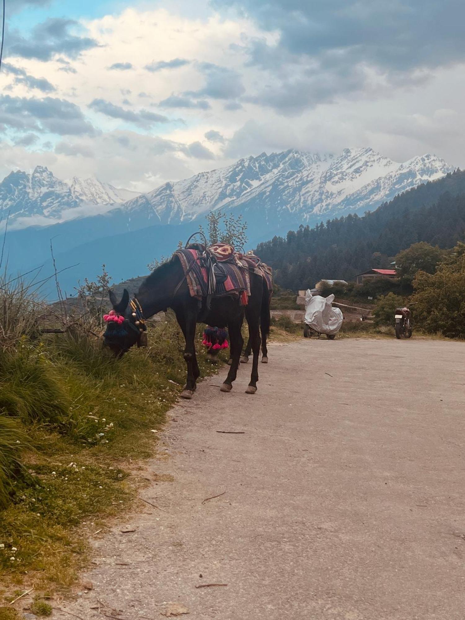 Faraway Cottages, Auli Joshimath Exterior photo