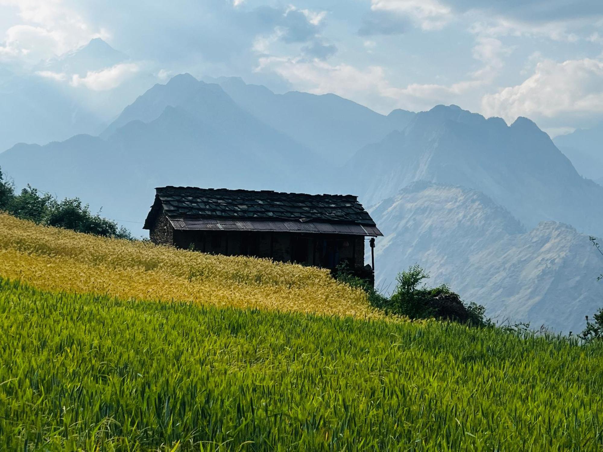 Faraway Cottages, Auli Joshimath Exterior photo